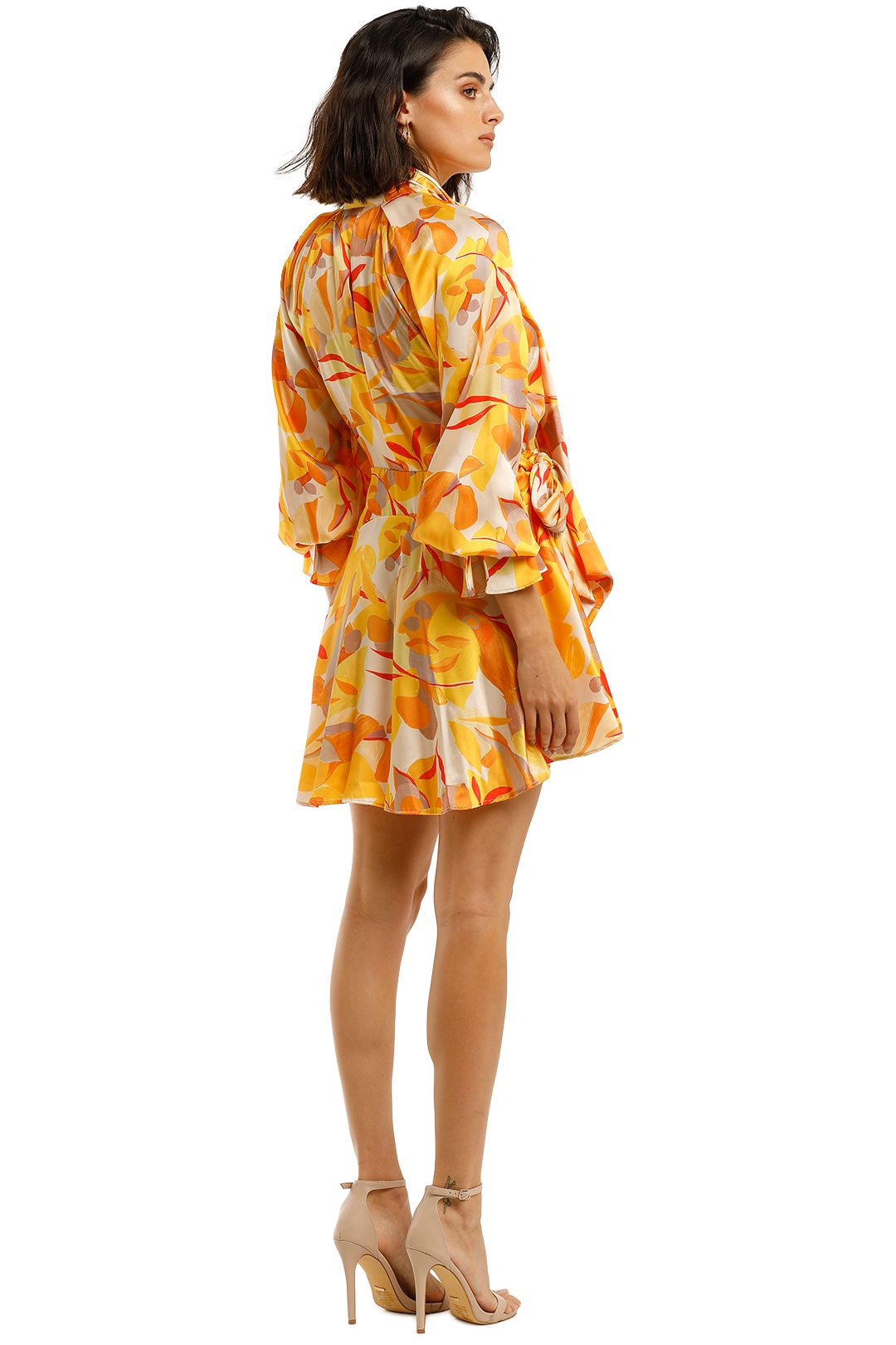 Acler-Bradley-Dress-Golden-Back