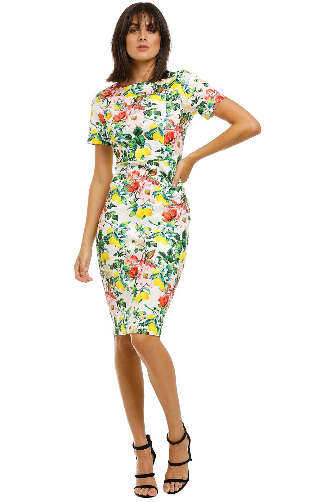 Alexia-Admor-Scuba-Sheath-Dress-Lemon-Floral-Front