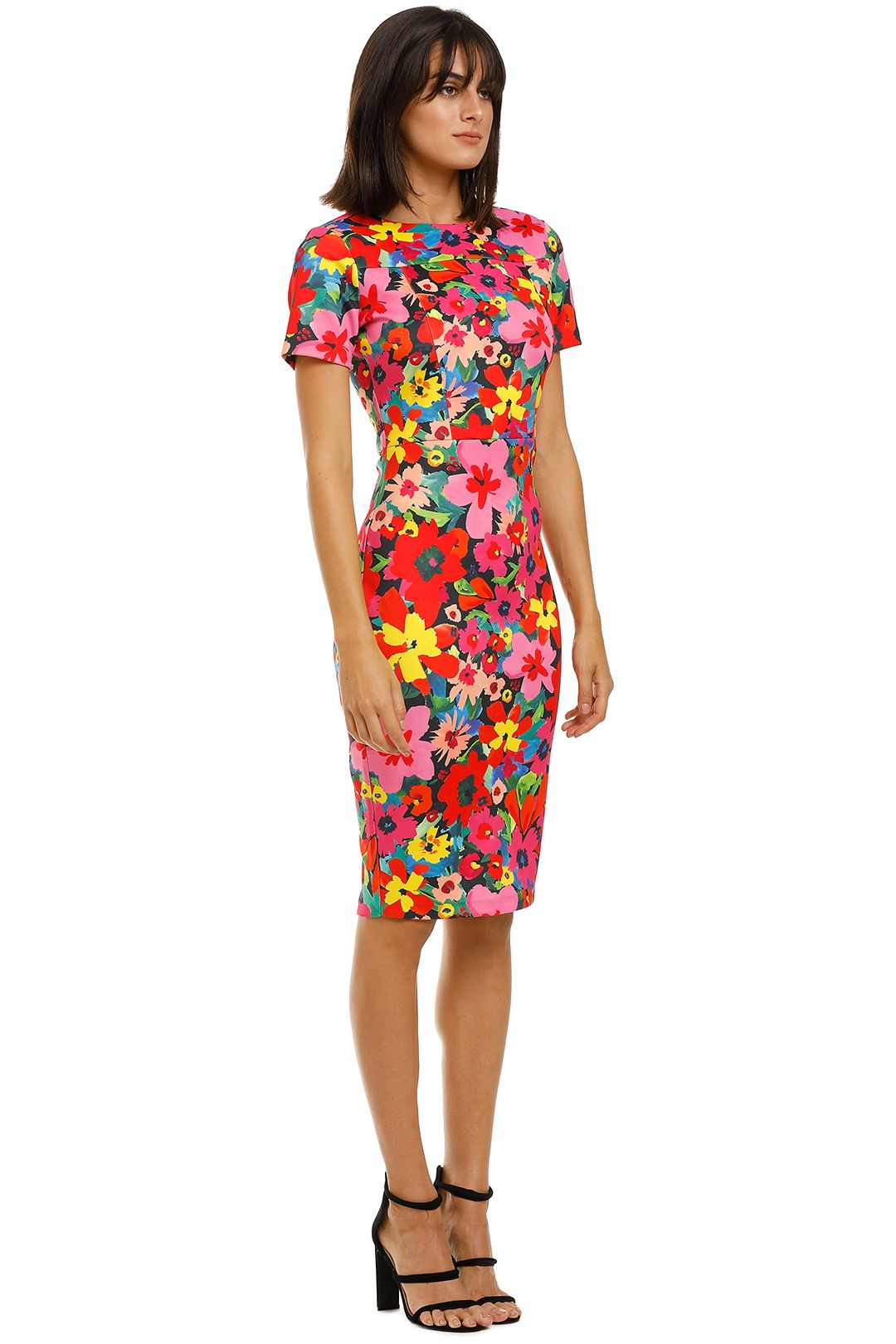 alexia admor carolina sheath