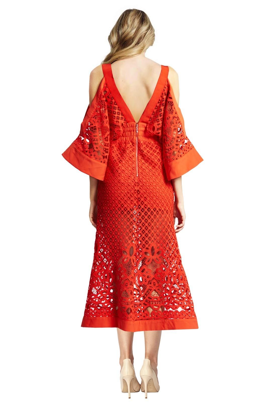 plus size party frocks