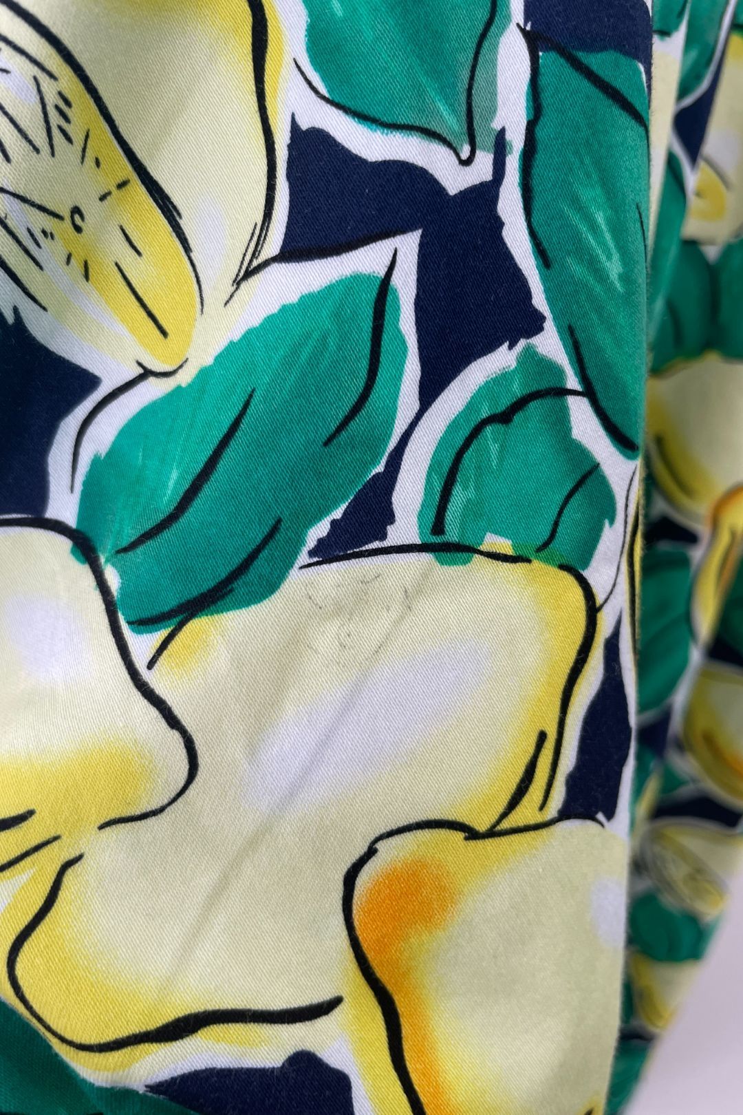 Lemon Print Fit and Flare Picnic Dress