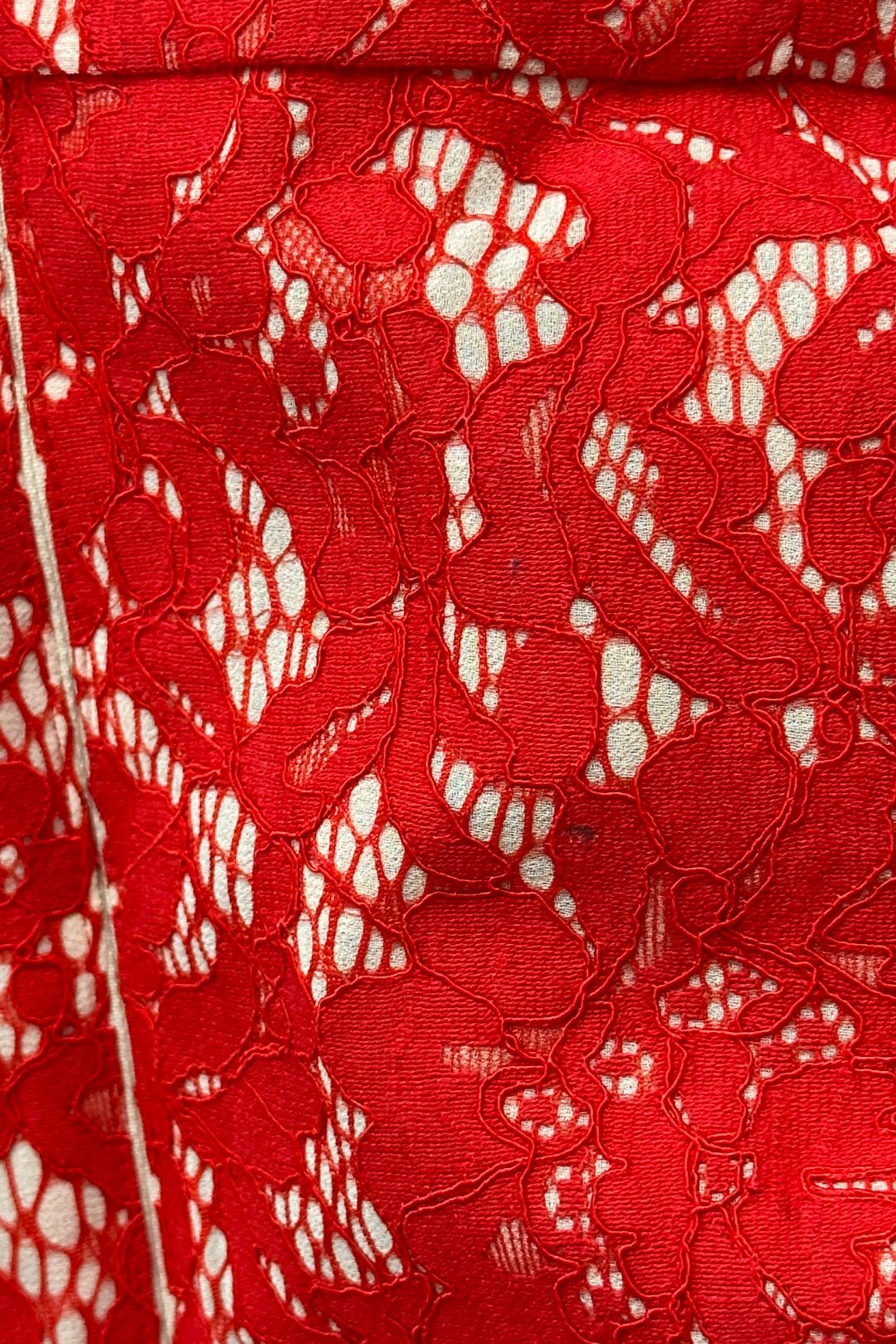 Review High Tea Floral Lace Dress in Red