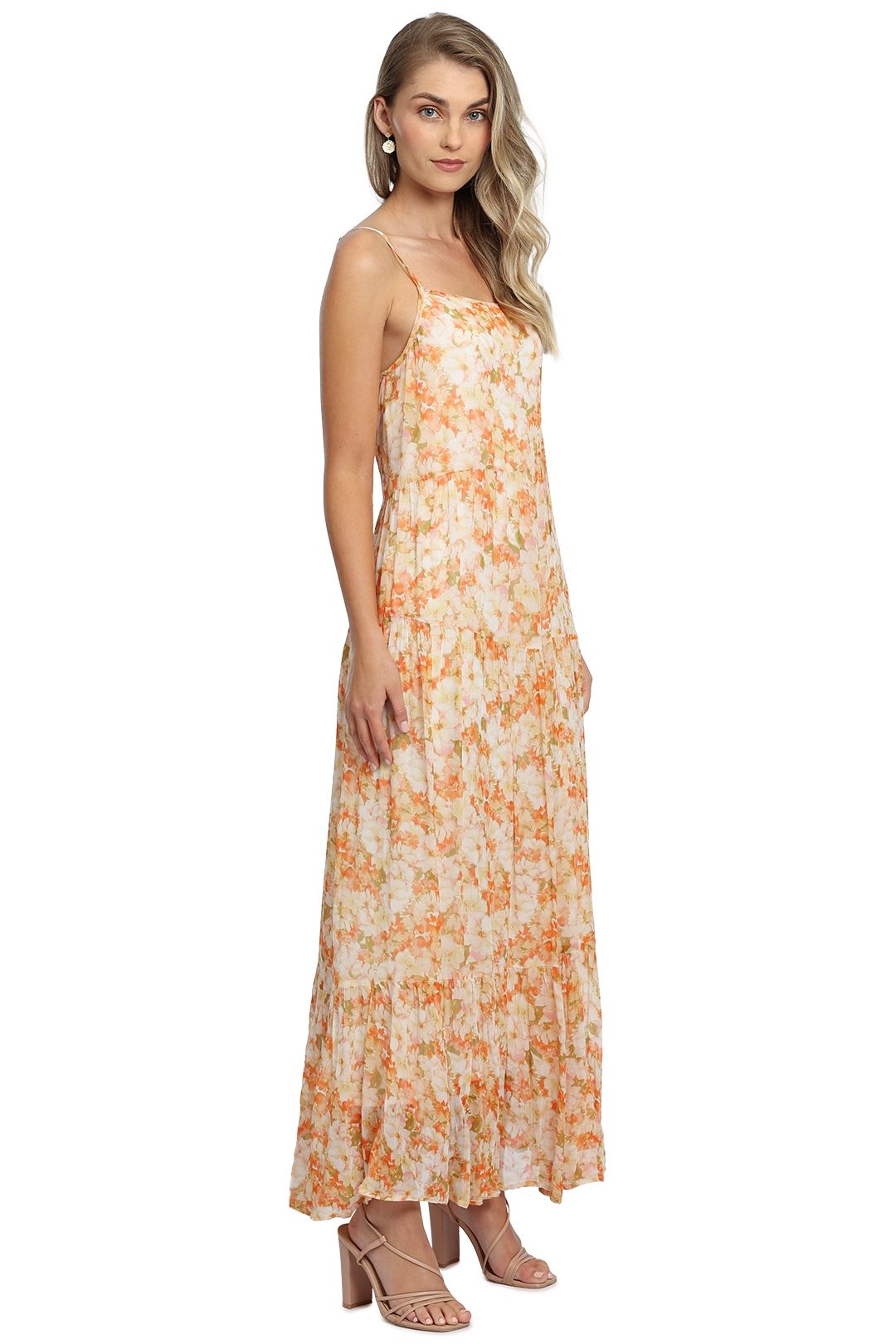 Ministry of Style Spring Meadows Maxi Dress print