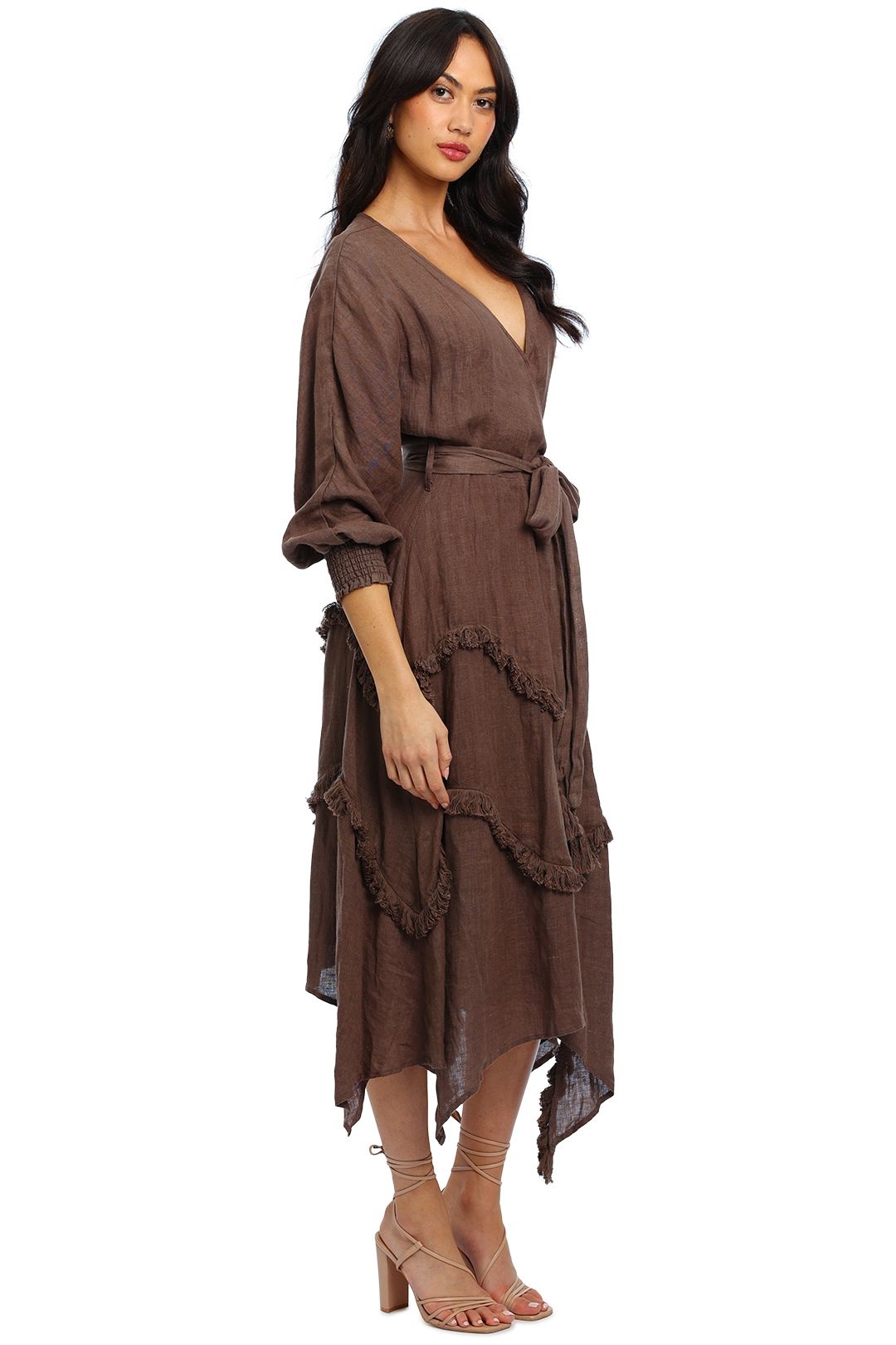Ministry of Style Wilderness Maxi Dress brown