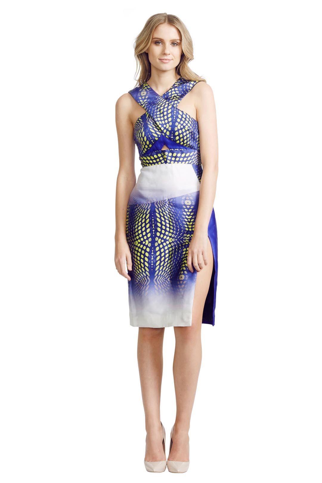Nicola Finetti - Python Dress - Blue Print - Front