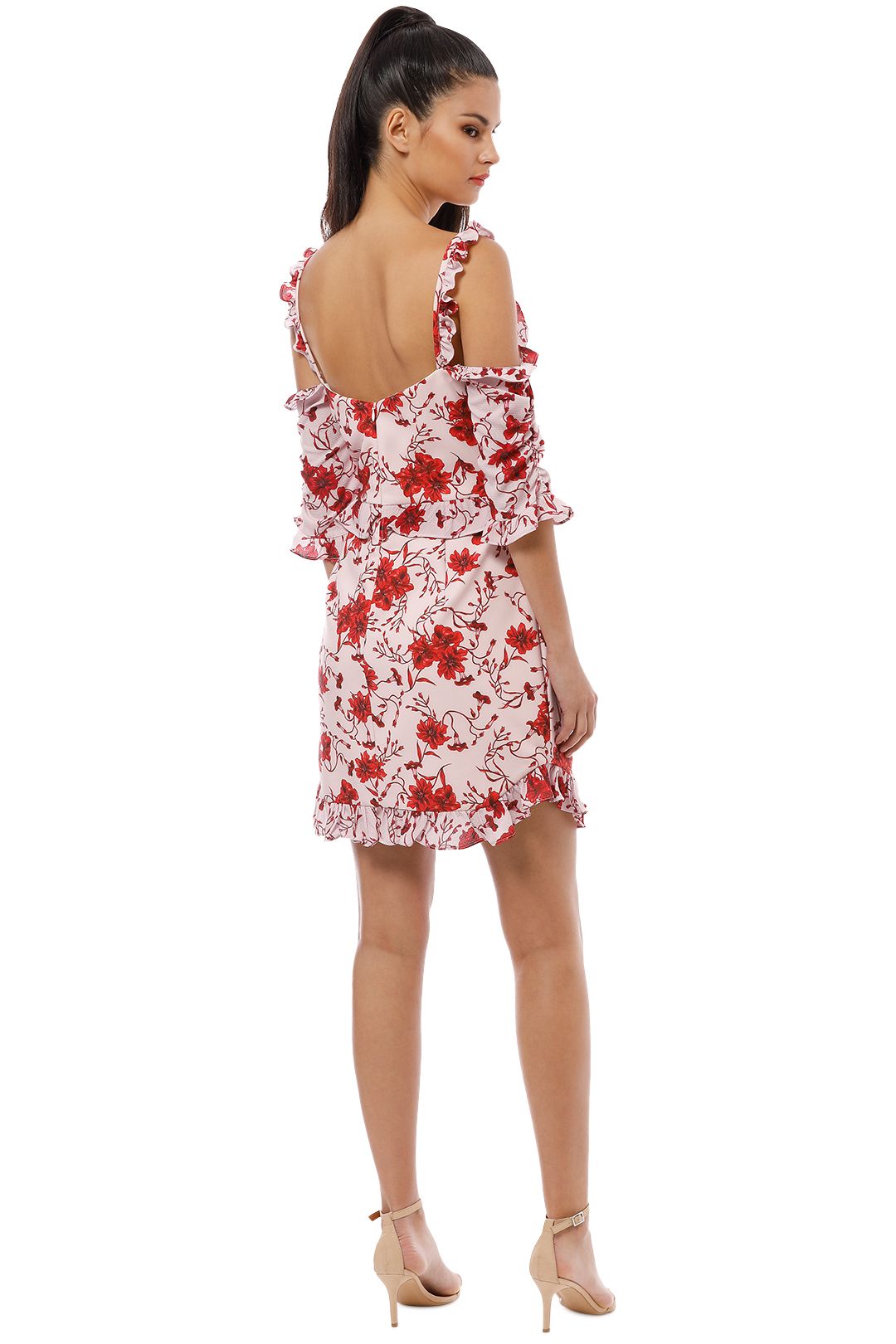 Pasduchas - Raphael Dress - Pink Musk - Back