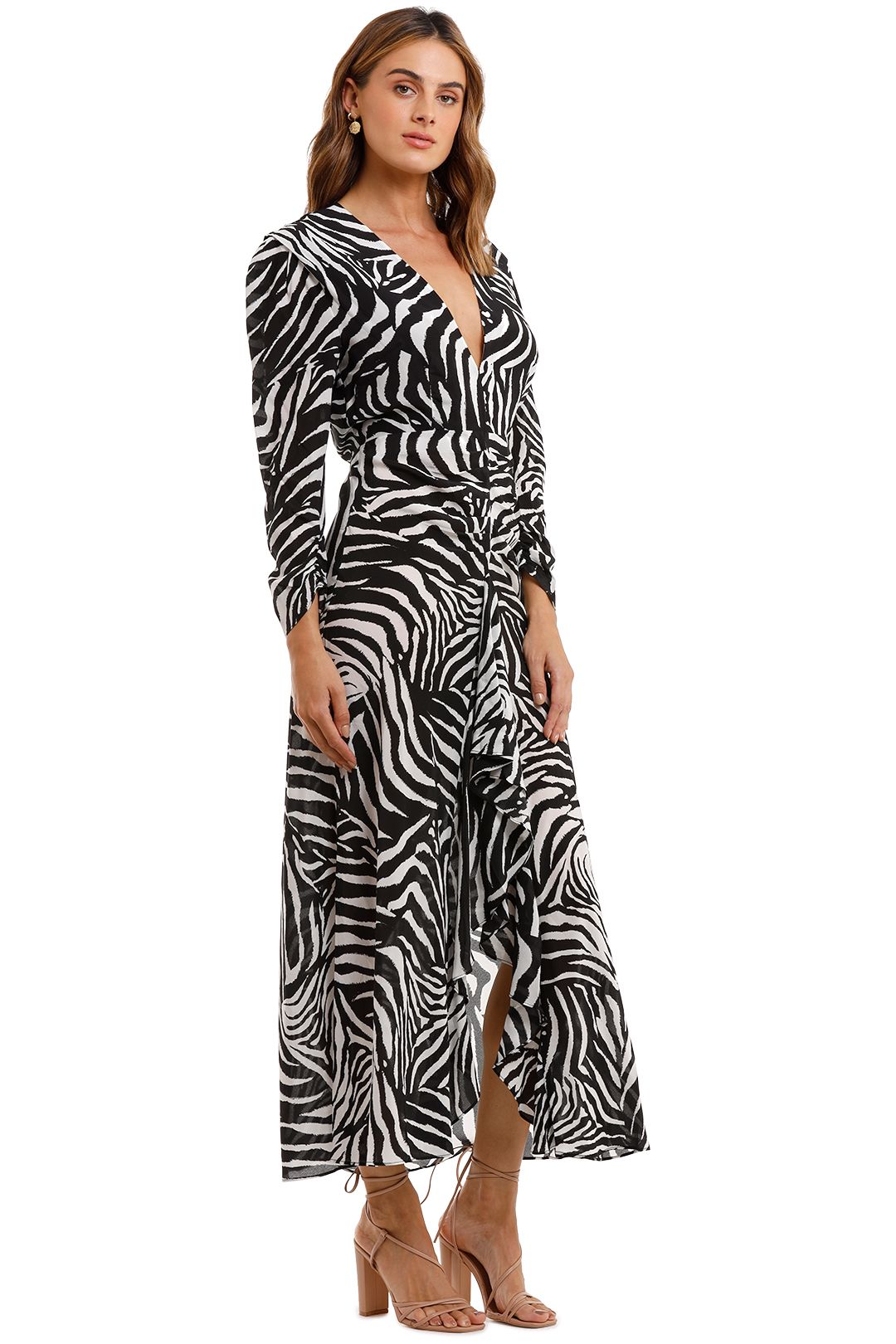 Rixo London Paloma Zebra Maxi Dress V Neckline