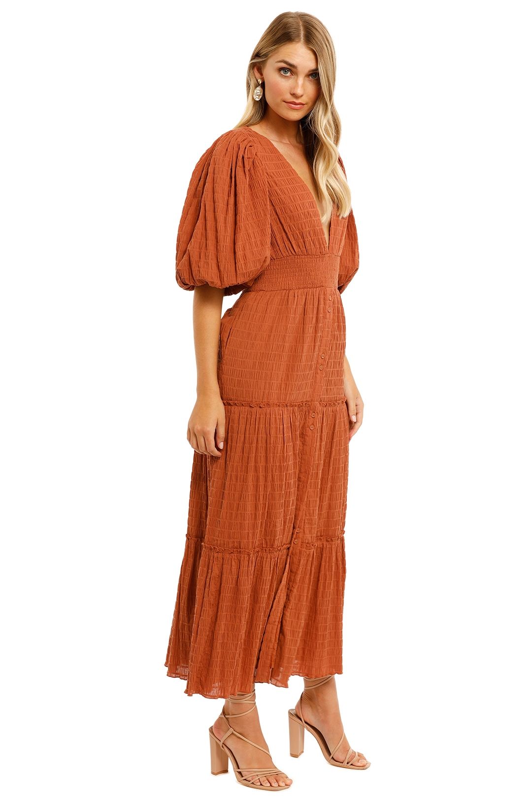 Sovere Reason Reversilble Midi Dress Brown
